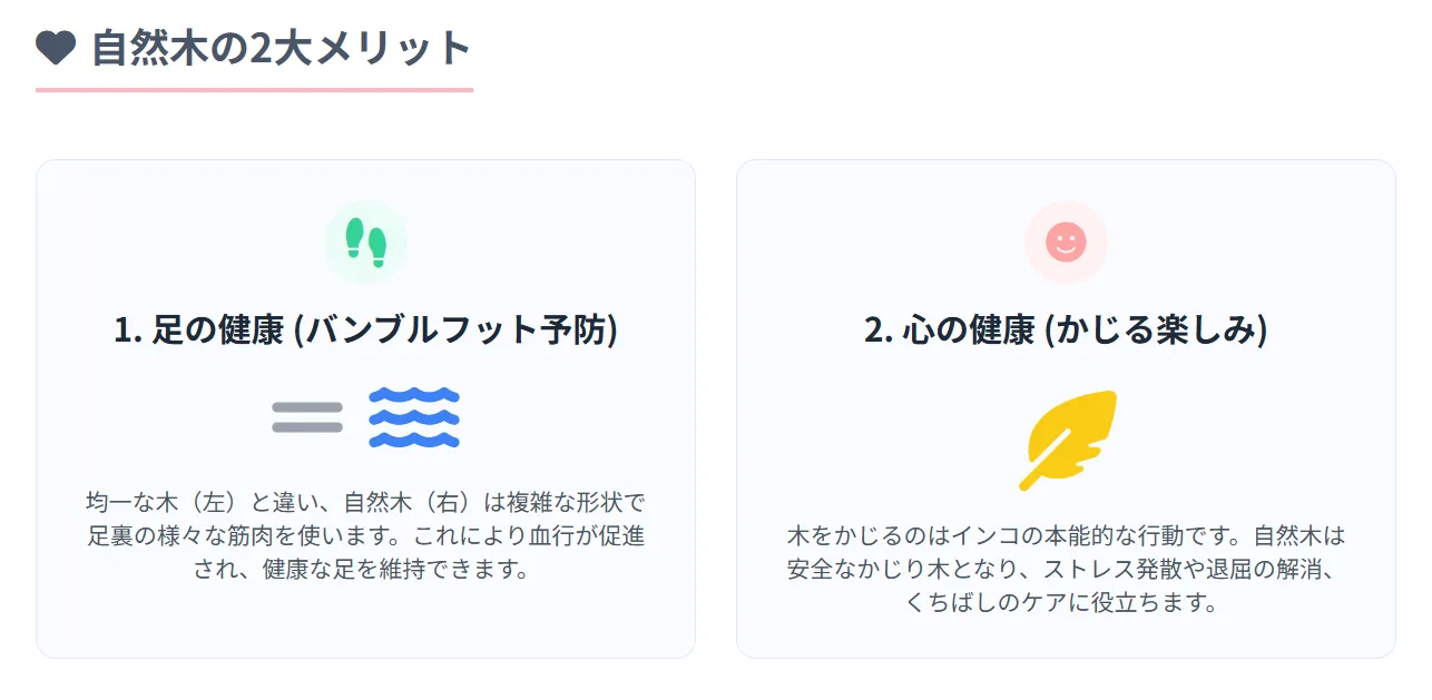 自然木の止まり木で足裏を刺激するインコ。太さが不均一な枝が血行促進と筋力維持に効果的で、バンブルフット予防につながる