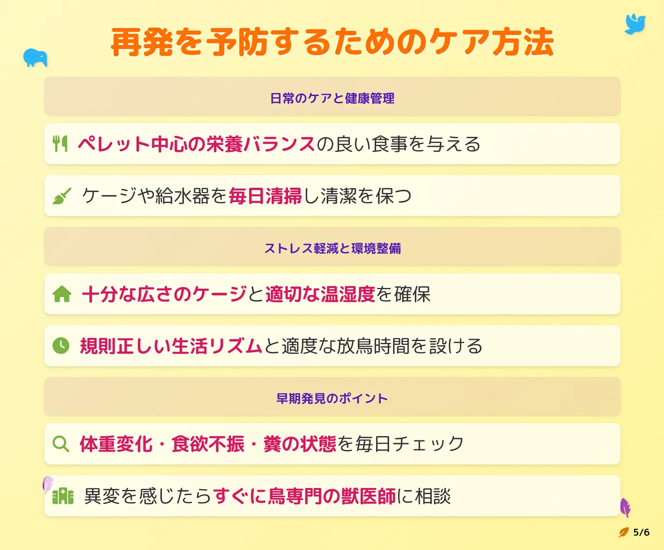メガバクテリア再発を予防するケア方法