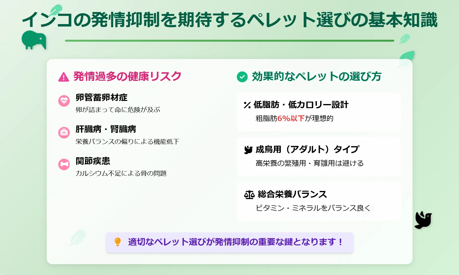 インコの発情抑制を期待するペレット選びの基本知識