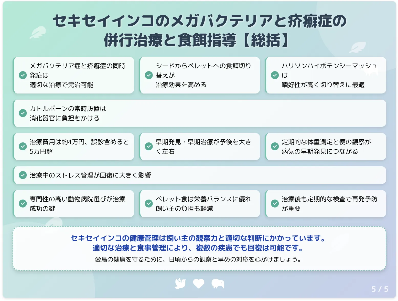 セキセイインコのメガバクテリアの疥癬症の治療まとめ