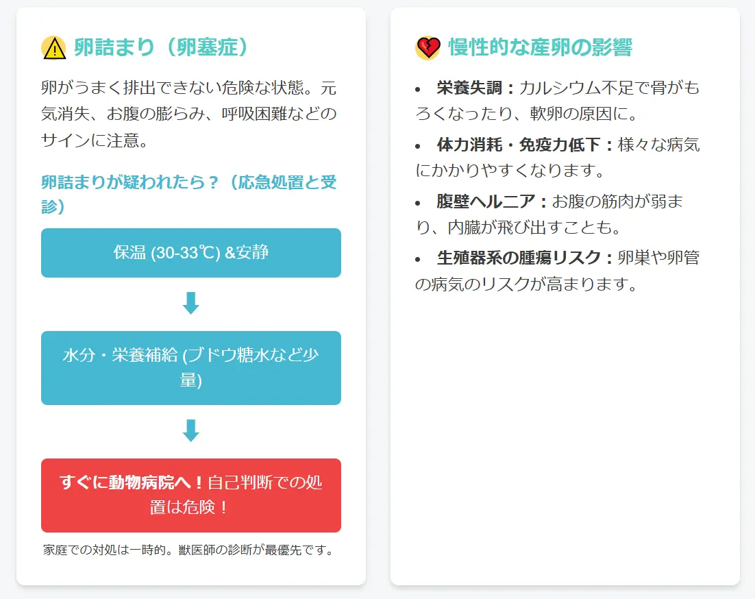 発情過多が引き起こす健康リスク