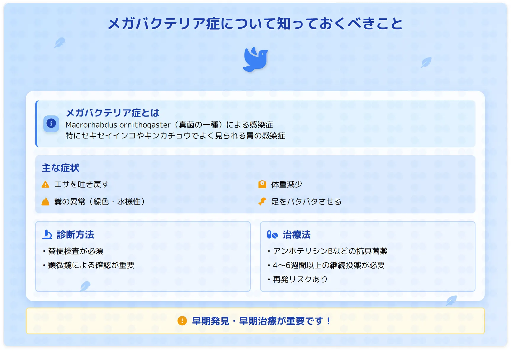 セキセイインコのメガバクテリア
