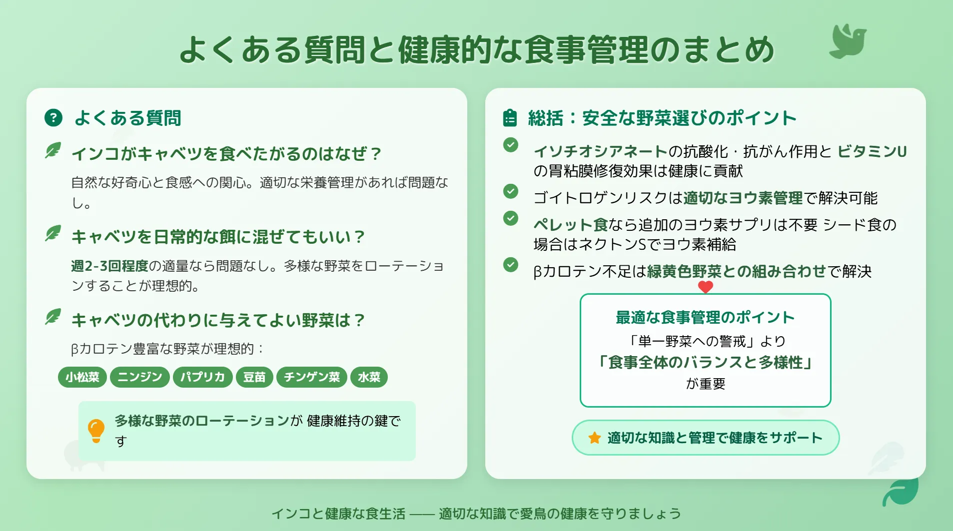 インコへのキャベツの与え方によくある質問