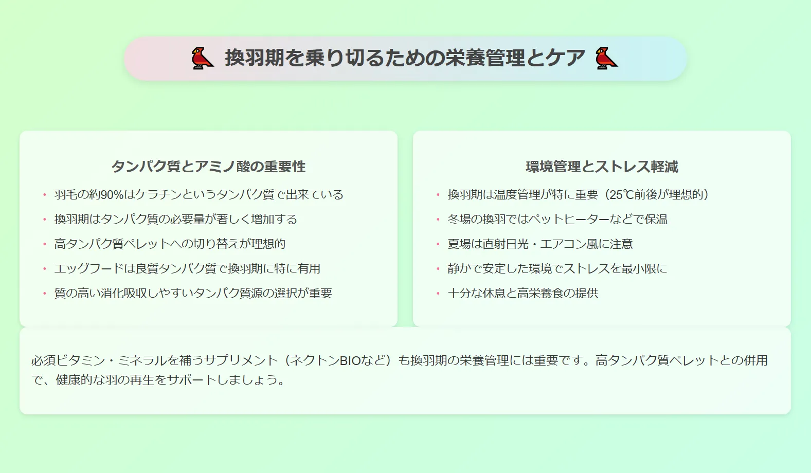 換羽期を乗り切るための栄養管理とケア