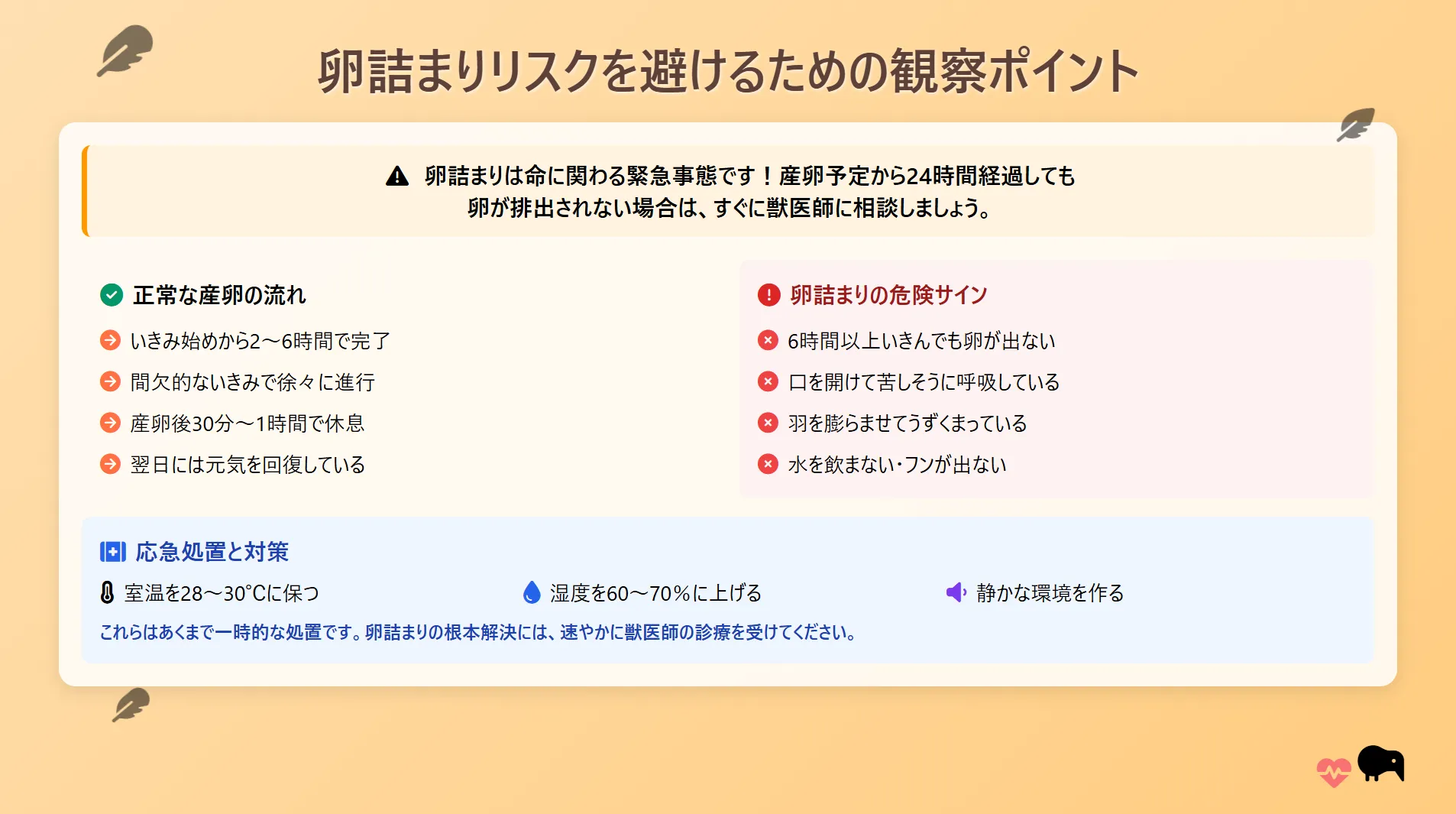 卵詰まりリスクを避けるための観察ポイント