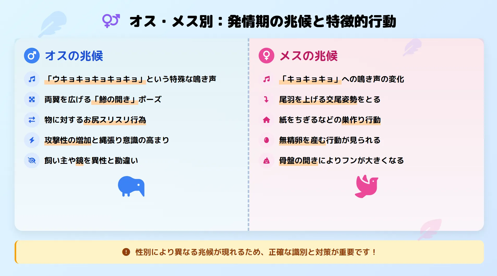 オス・メス別発情期の兆候と特徴的行動