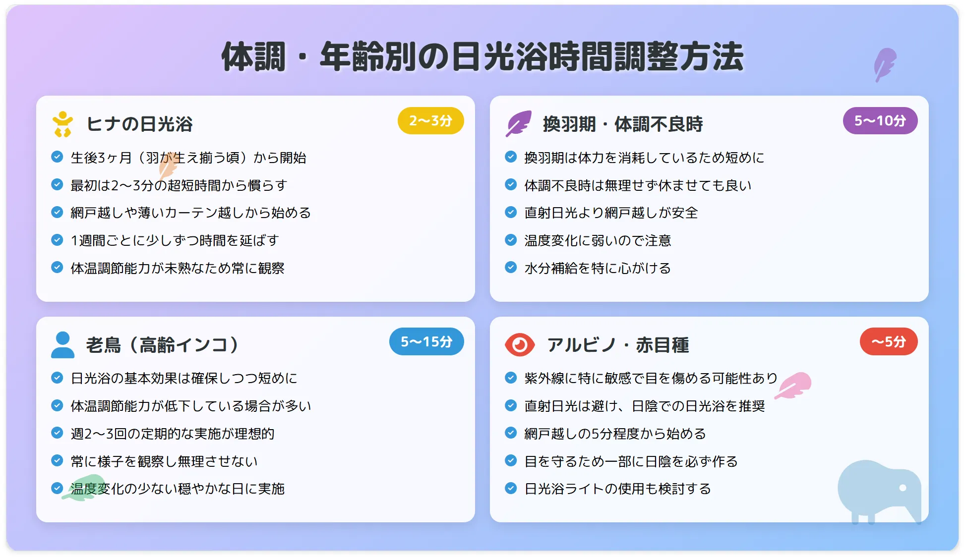 体調・年齢別の日光浴時間調整方法