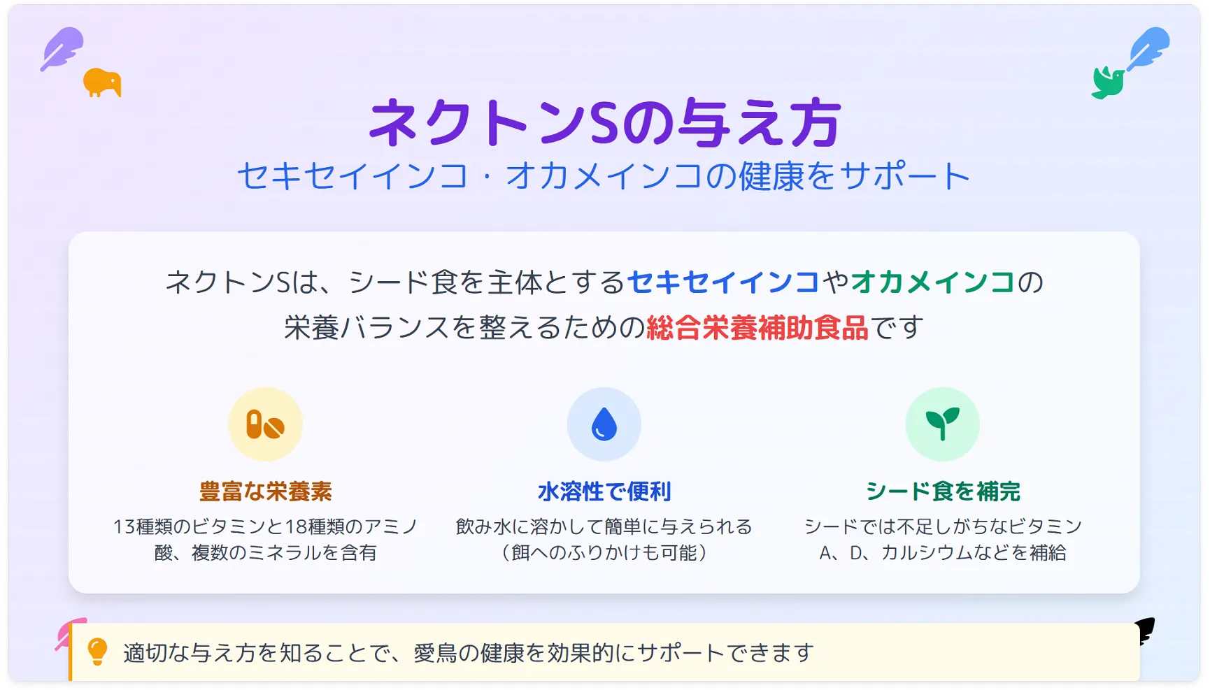ネクトンsの与え方