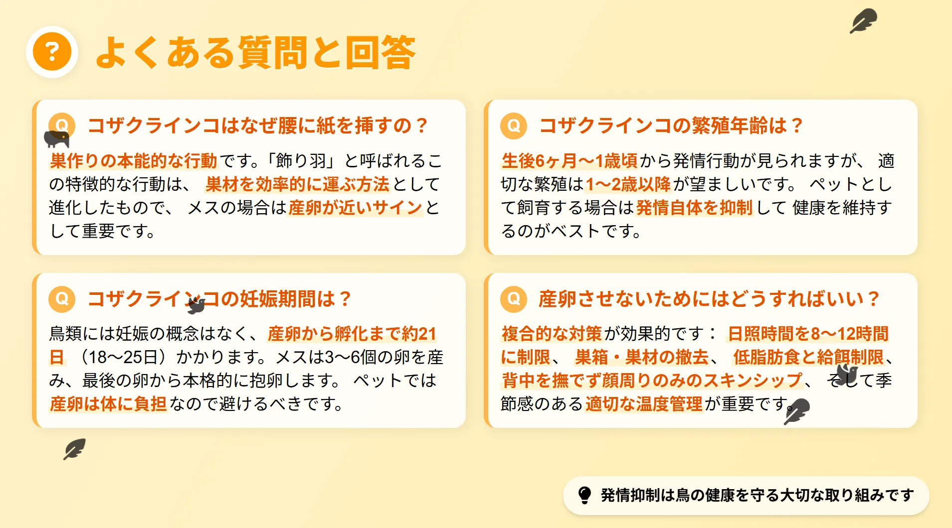 コザクラインコの発情期によくある質問