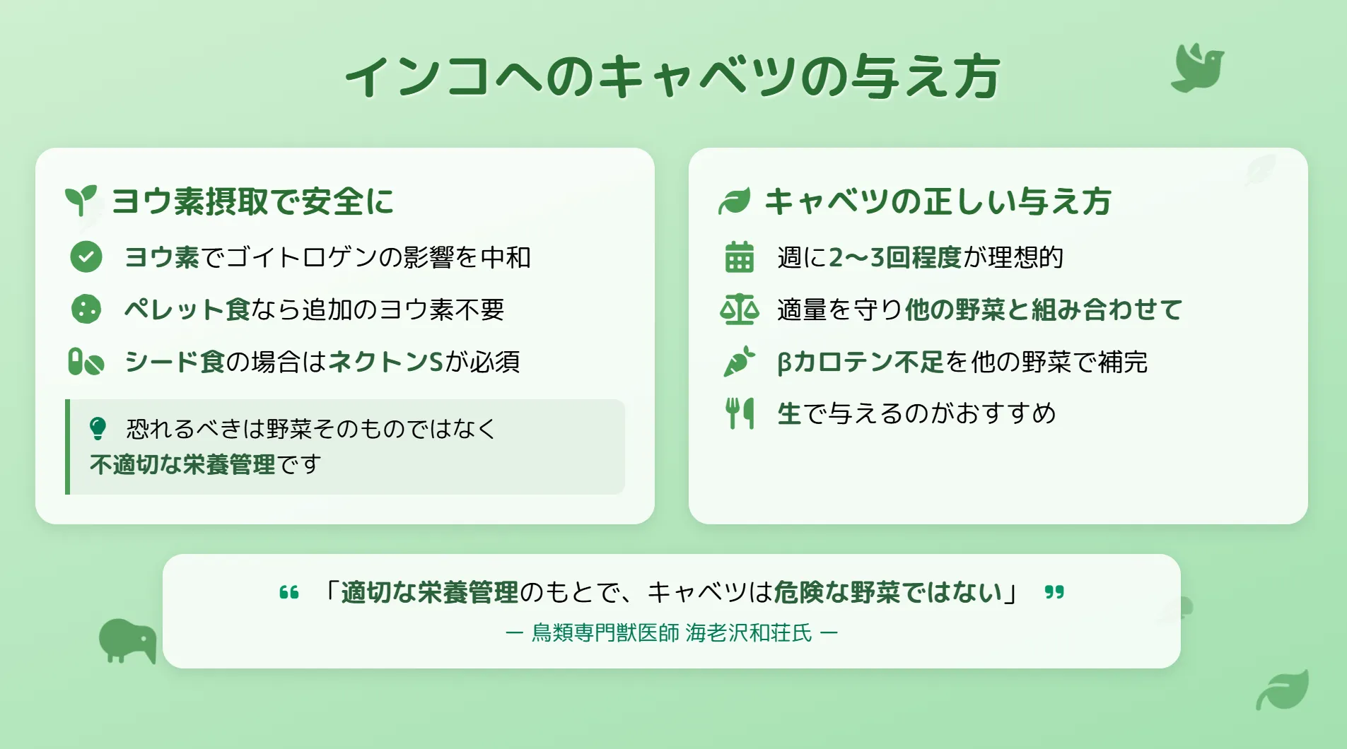 インコへのキャベツの安全な与え方
