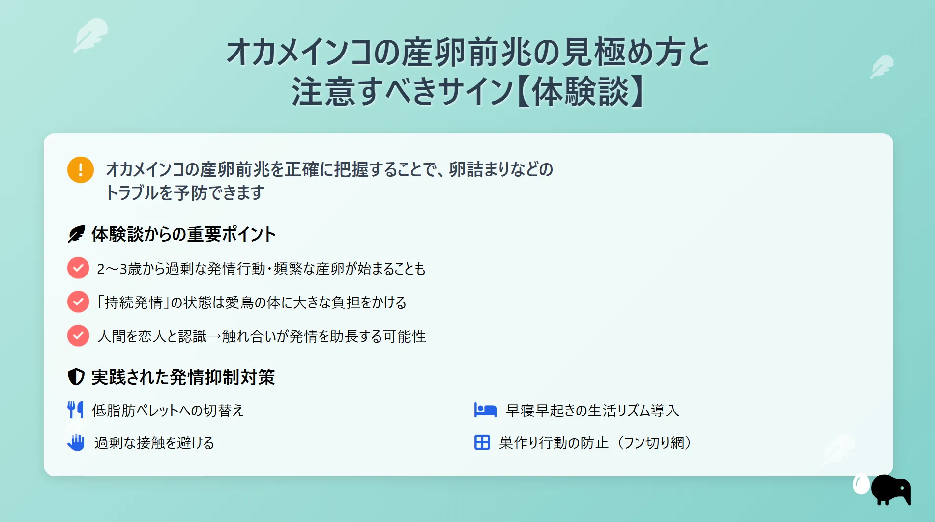 オカメインコの産卵前兆の見極め方と注意すべきサイン体験談