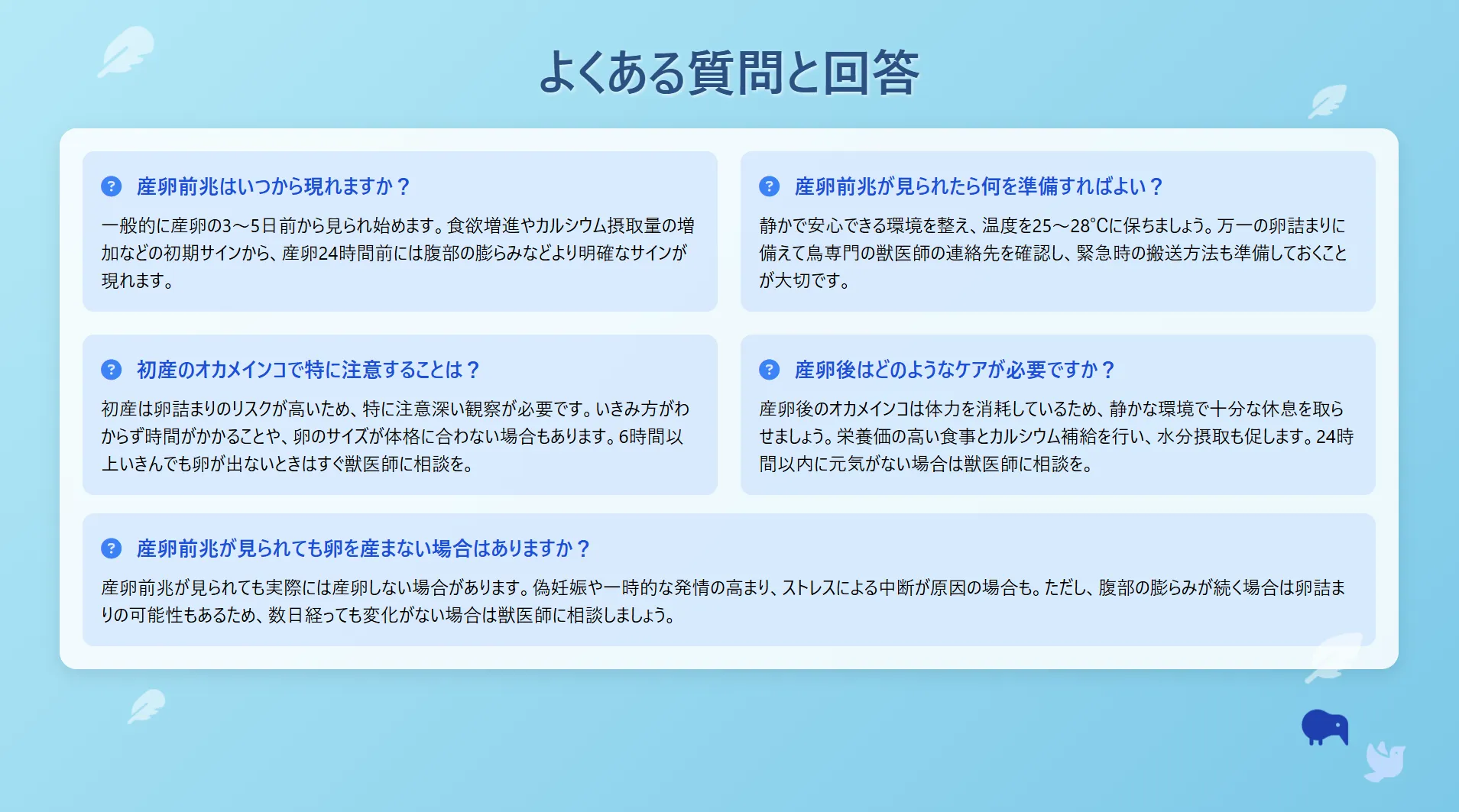 オカメインコの産卵によくある質問