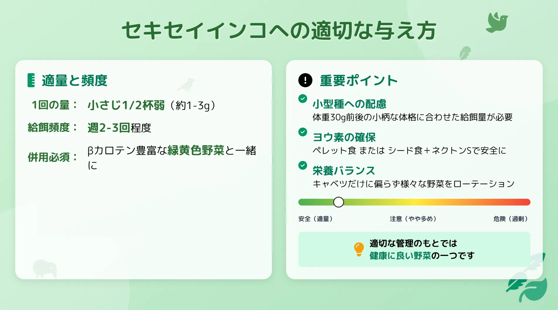 セキセイインコへのキャベツの与え方