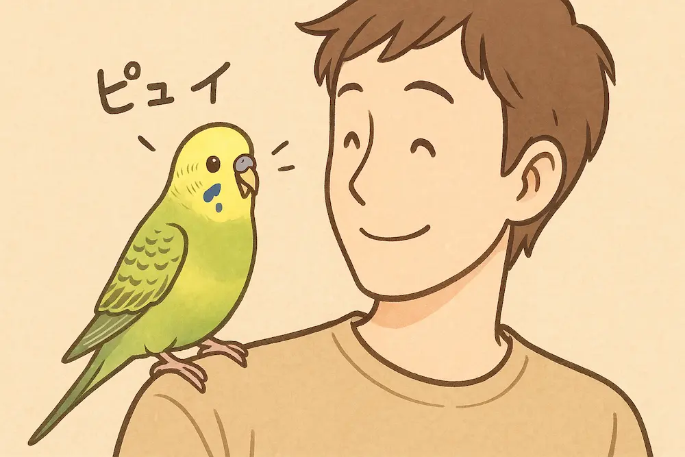 人間とセキセイインコの絆