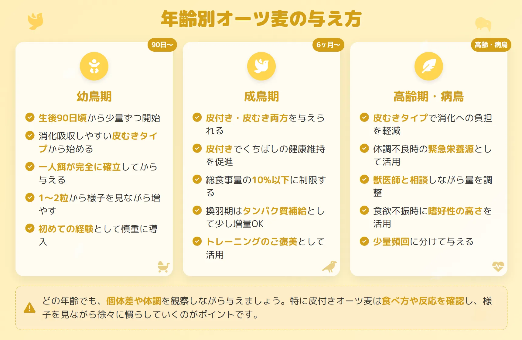年齢別オーツ麦の与え方