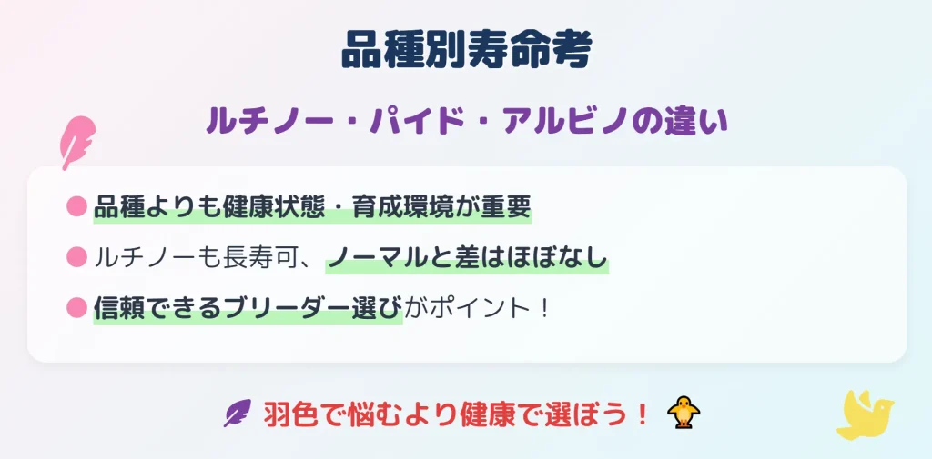 品種別寿命考：ルチノー・パイド・アルビノの違い
