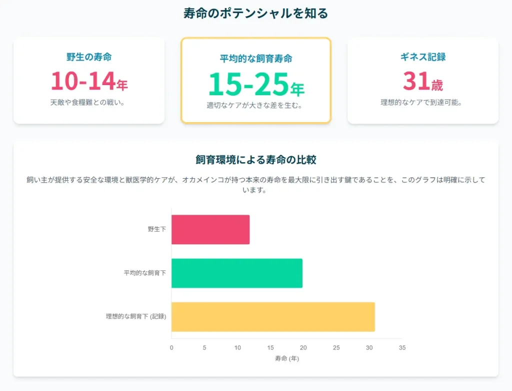 オカメインコの寿命のポテンシャル