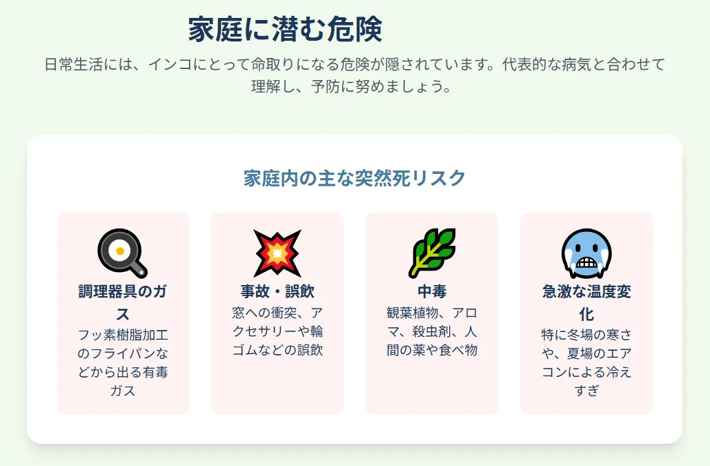 家庭に潜む危険と病気