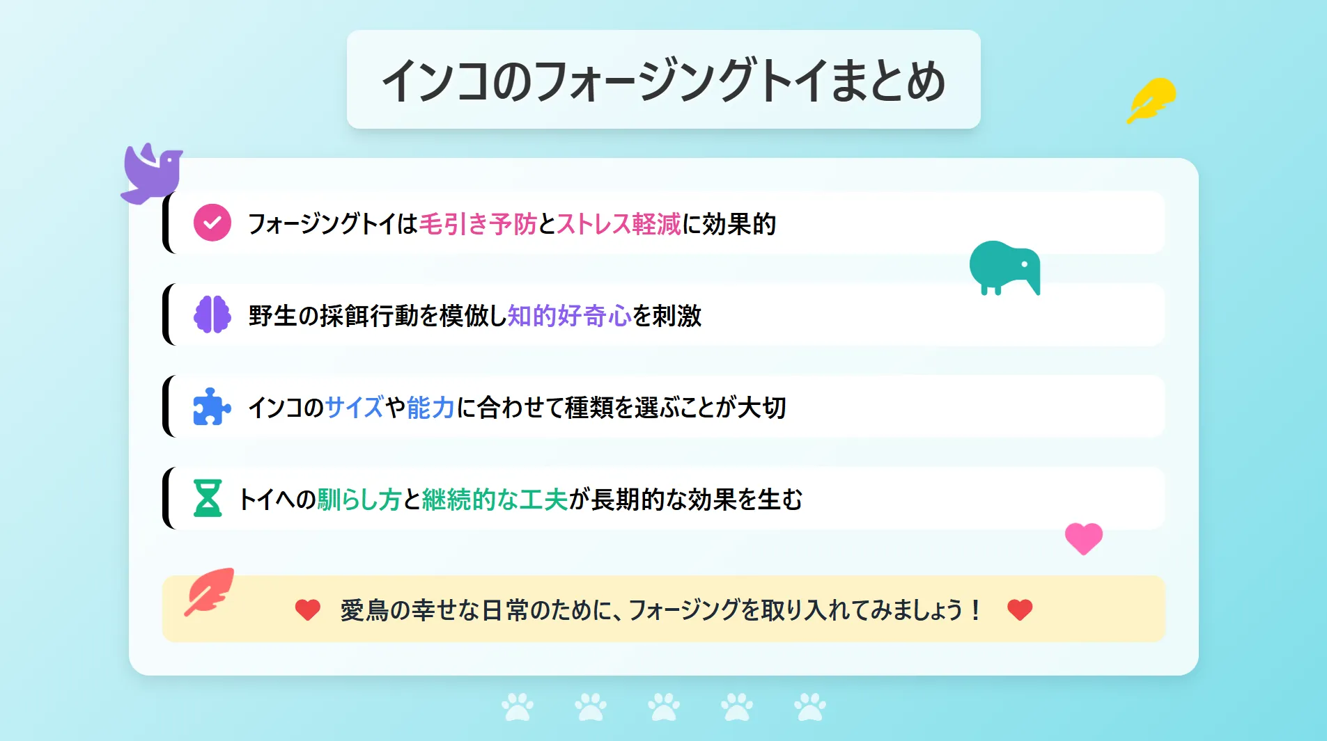 インコのフォニオパディトイまとめ