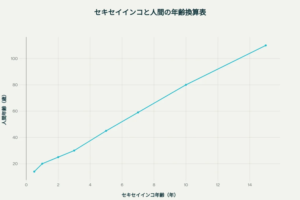 セキセイインコと人間の年齢換算表