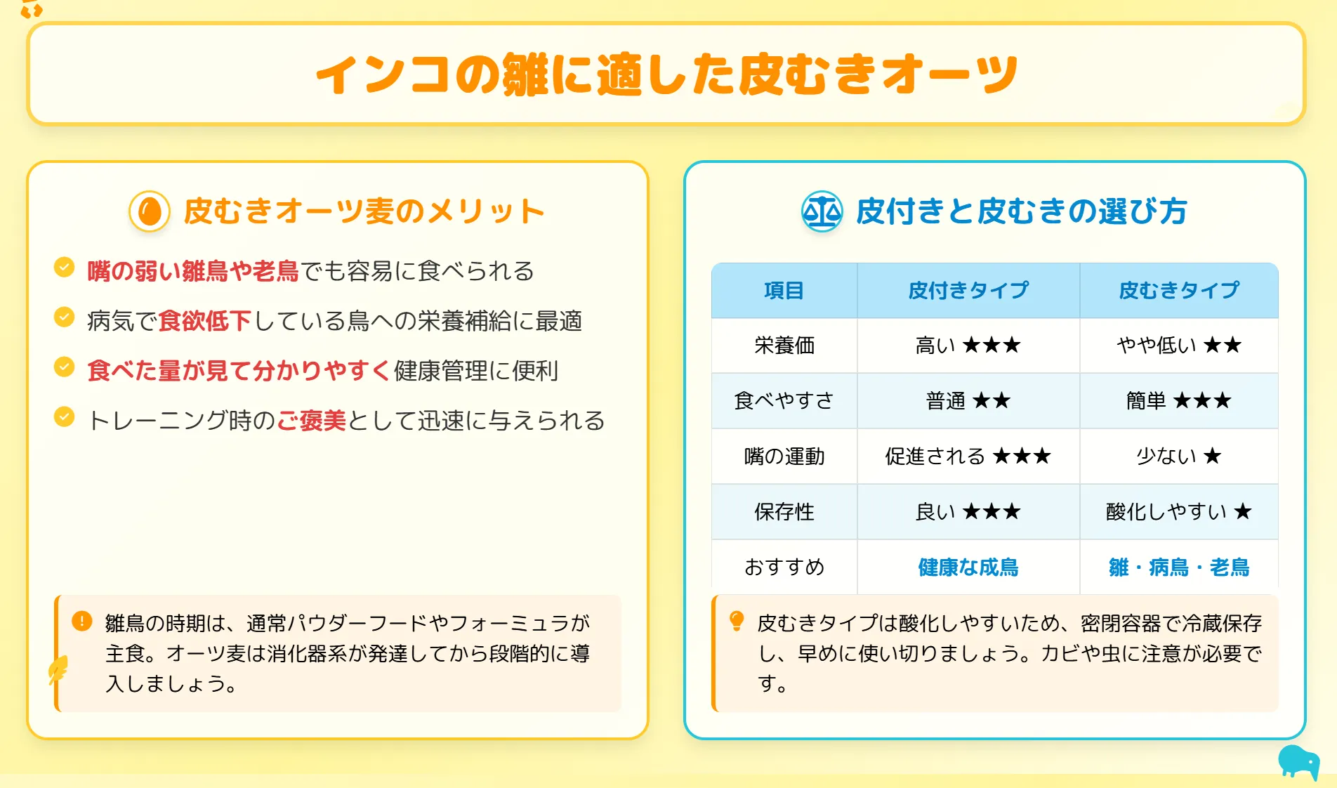 インコの雛に適した皮むきオーツ