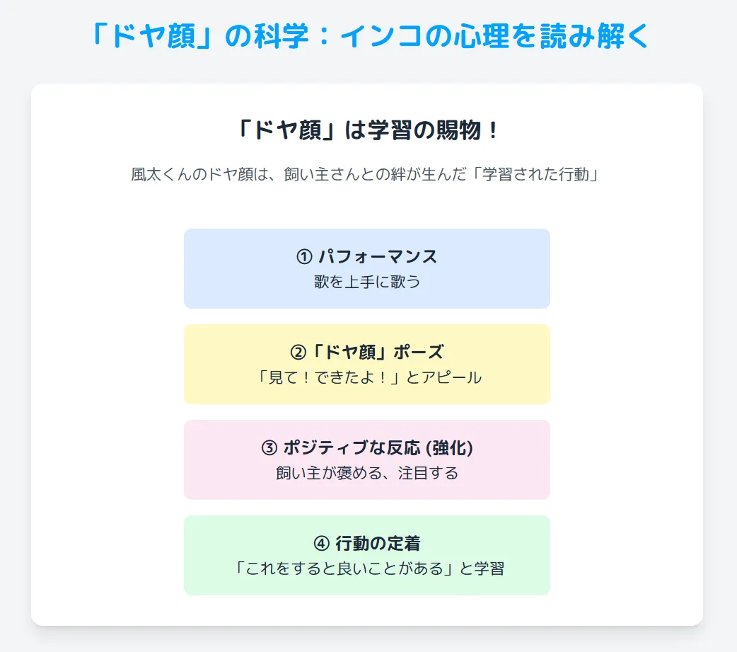 ドヤ顔の科学：インコの心理を読み解く