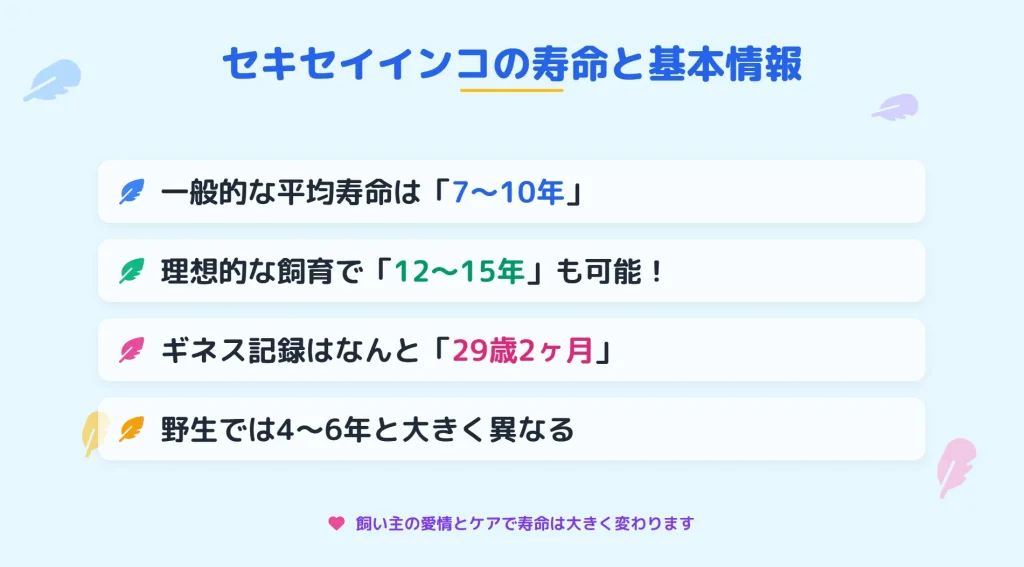 セキセイインコの寿命と基本情報