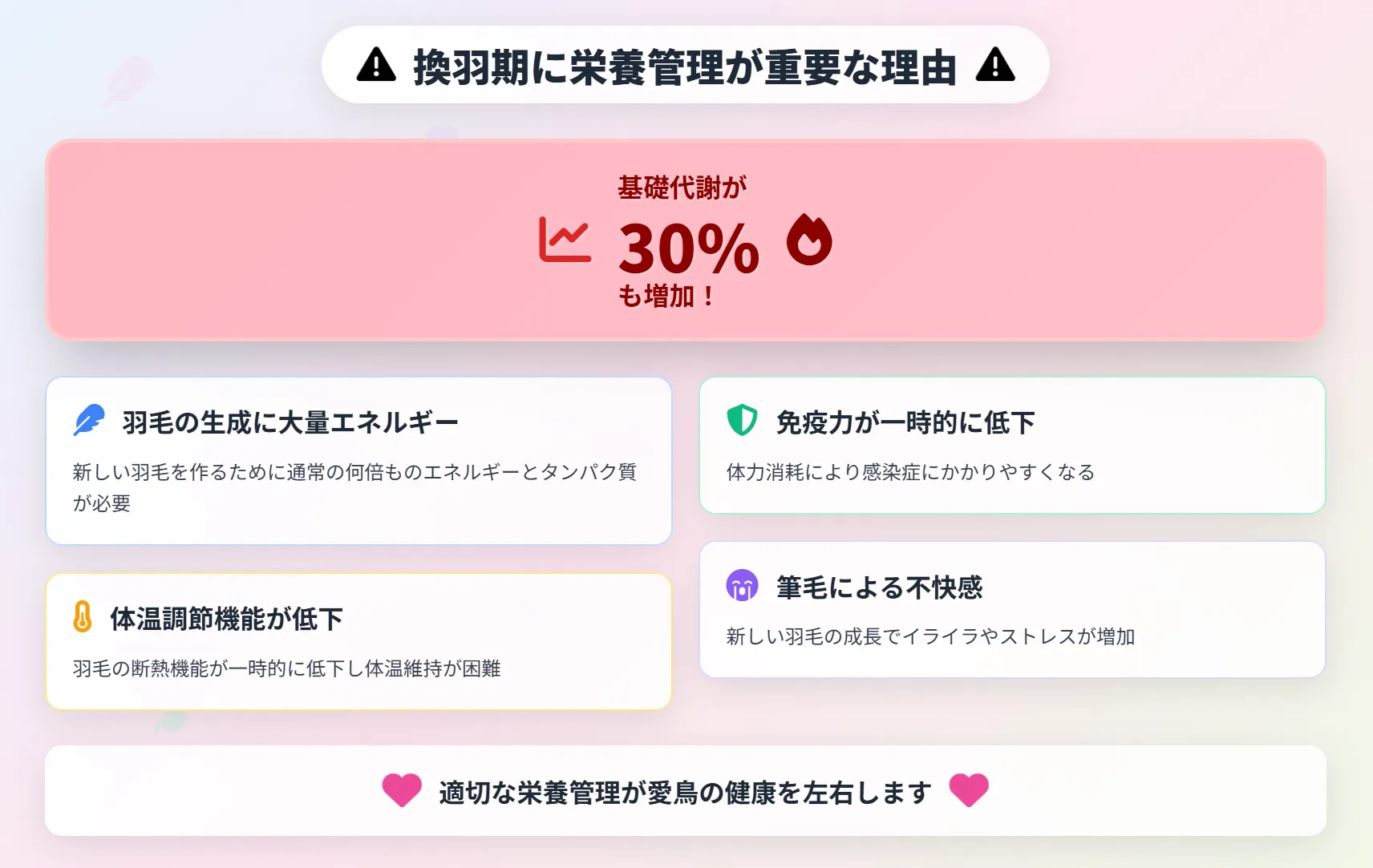 換羽期に栄養管理が重要な理由
