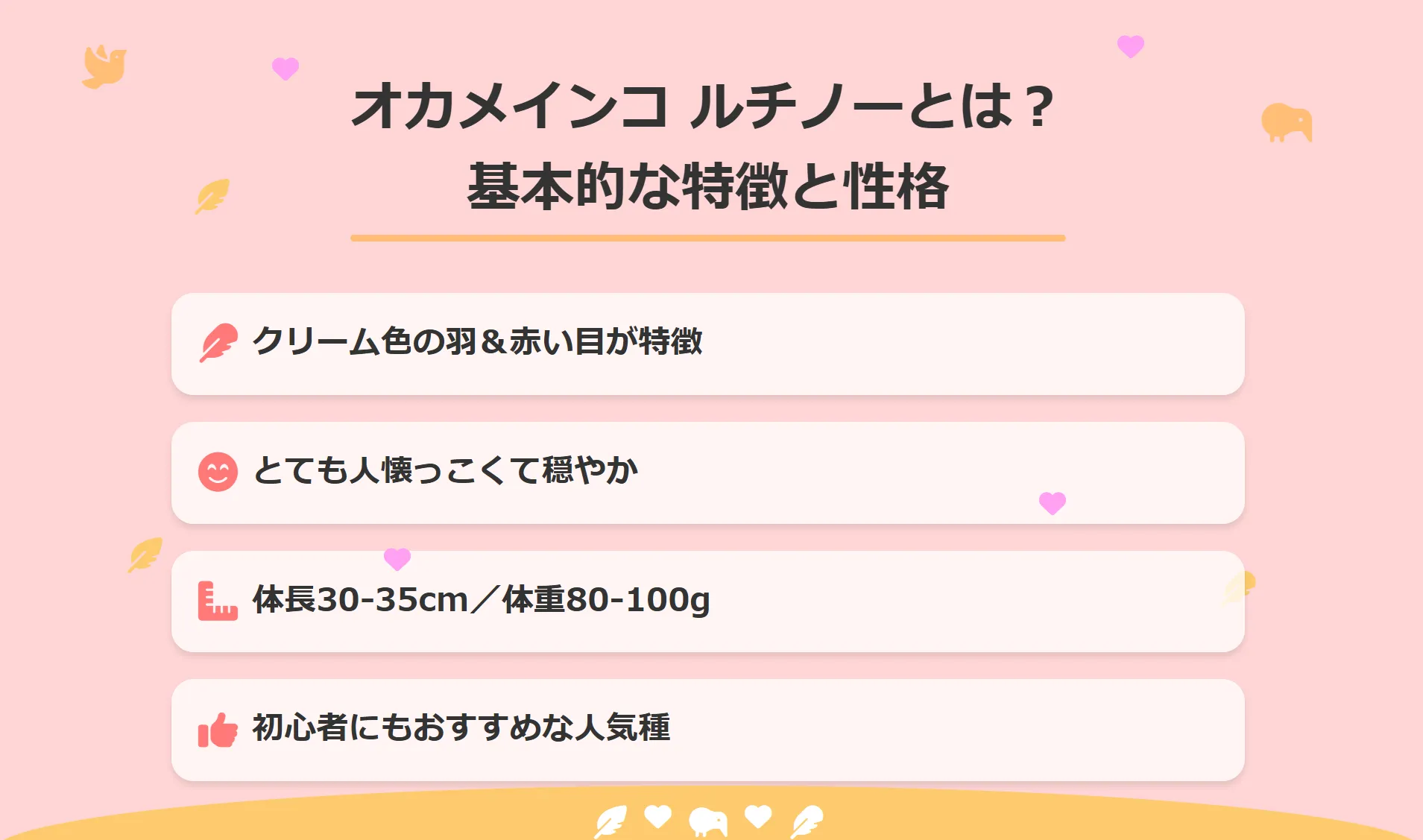 オカメインコルチノーとは？