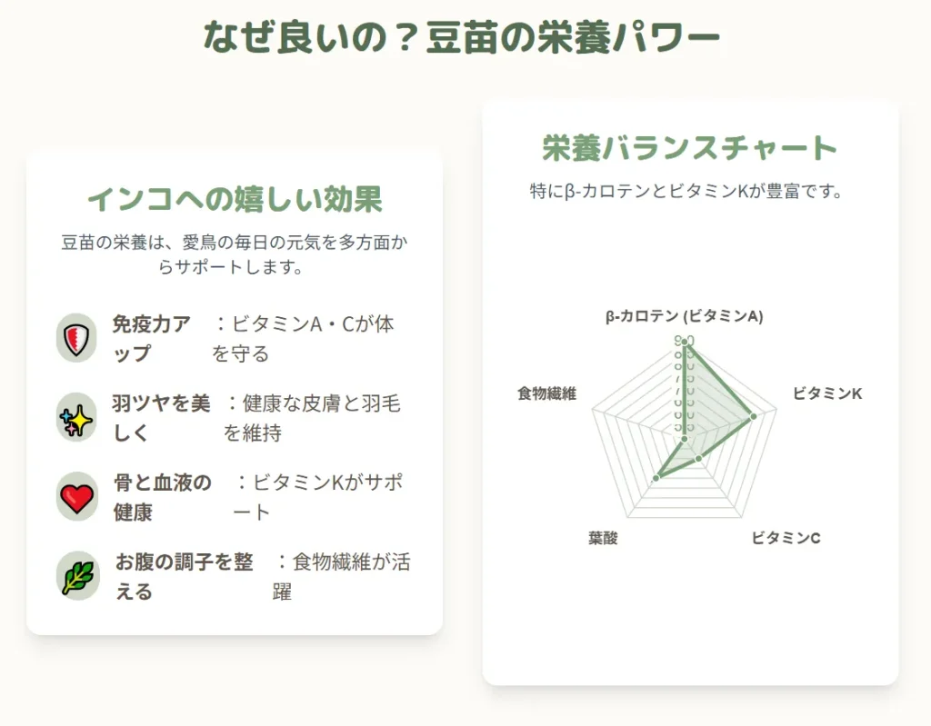 なぜ良いの？豆苗の栄養パワー