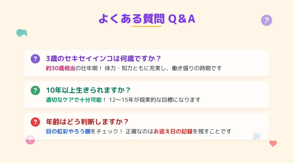 セキセイインコの年齢と寿命によくある質問