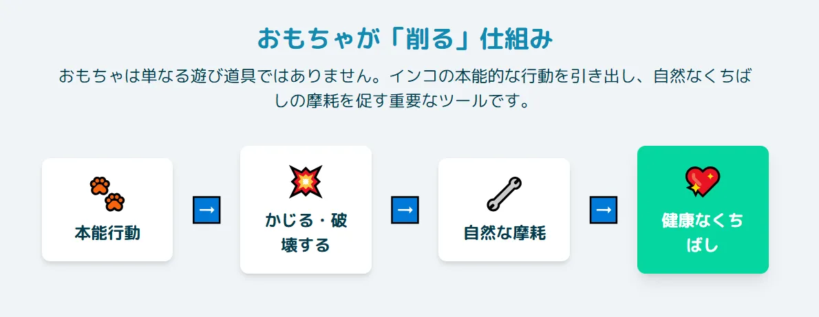 インコのおもちゃがくちばしを削る仕組み