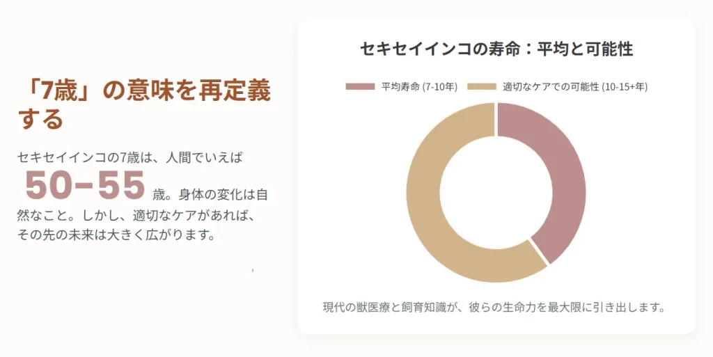 7歳の意味を再定義する