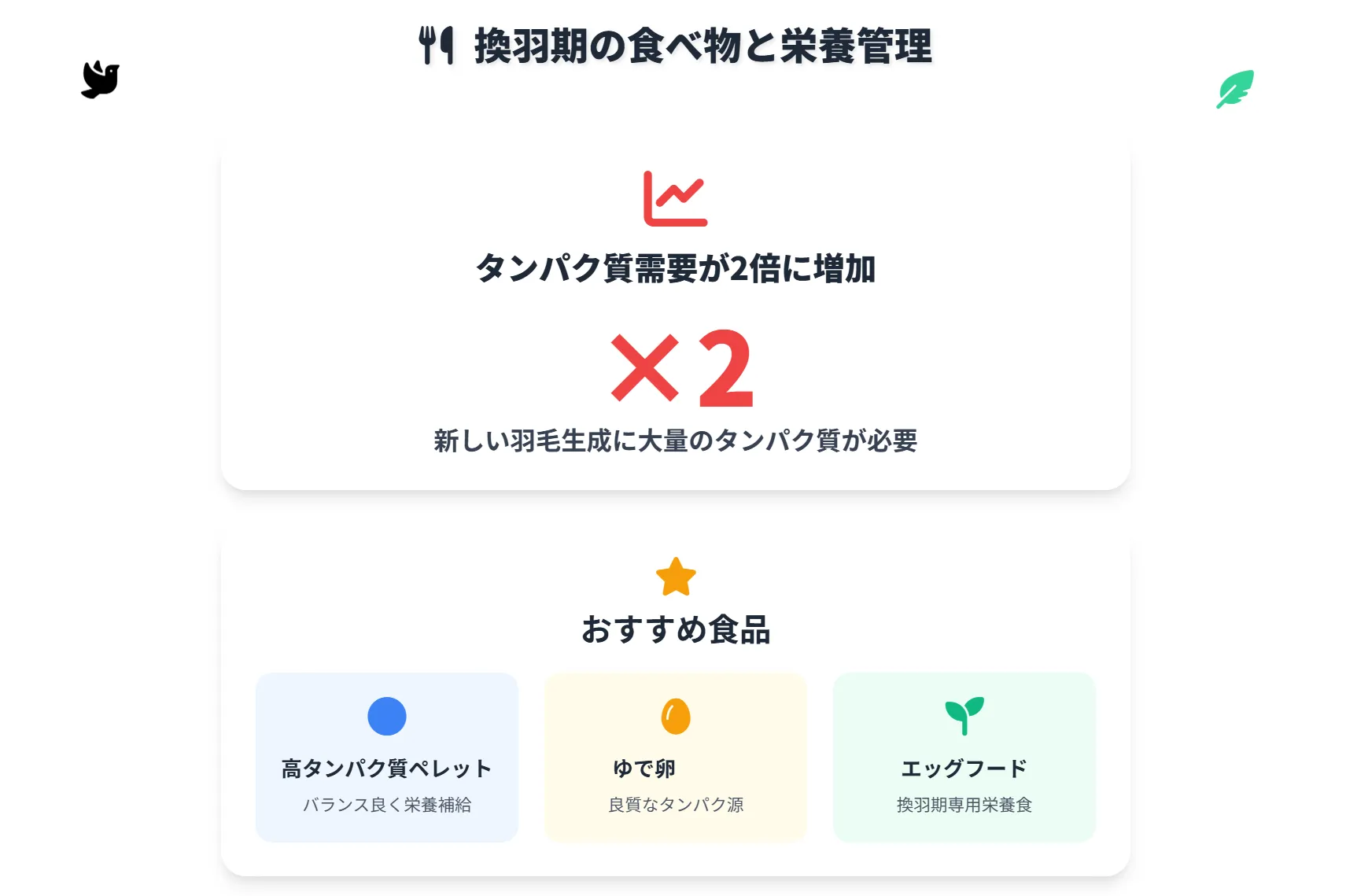 セキセイインコの換羽期の食べ物と栄養管理
