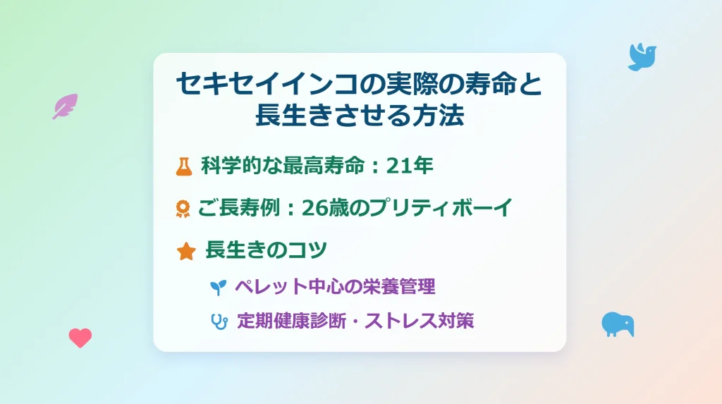セキセイインコの実際の寿命と長生きさせる方法