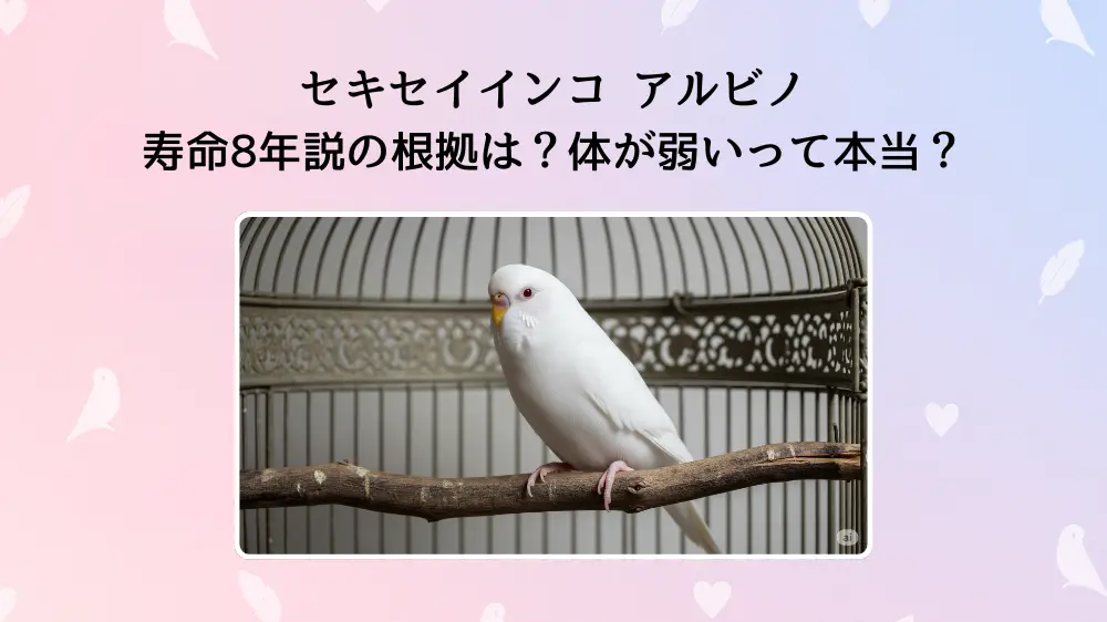 セキセイインコアルビノの寿命
