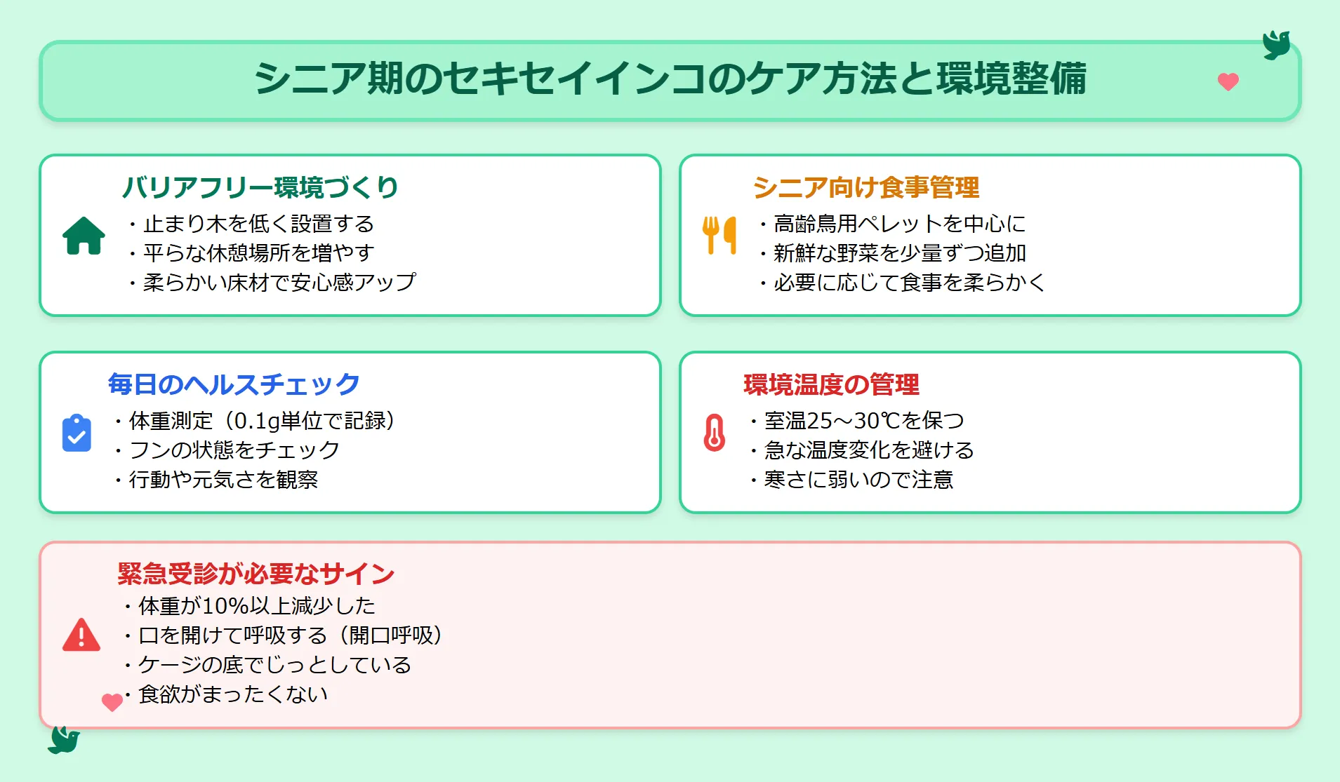 セキセイインコのシニア期のケア方法と環境準備のインフォグラフィック。ケージのバリアフリー化や食事管理のポイントを図解。