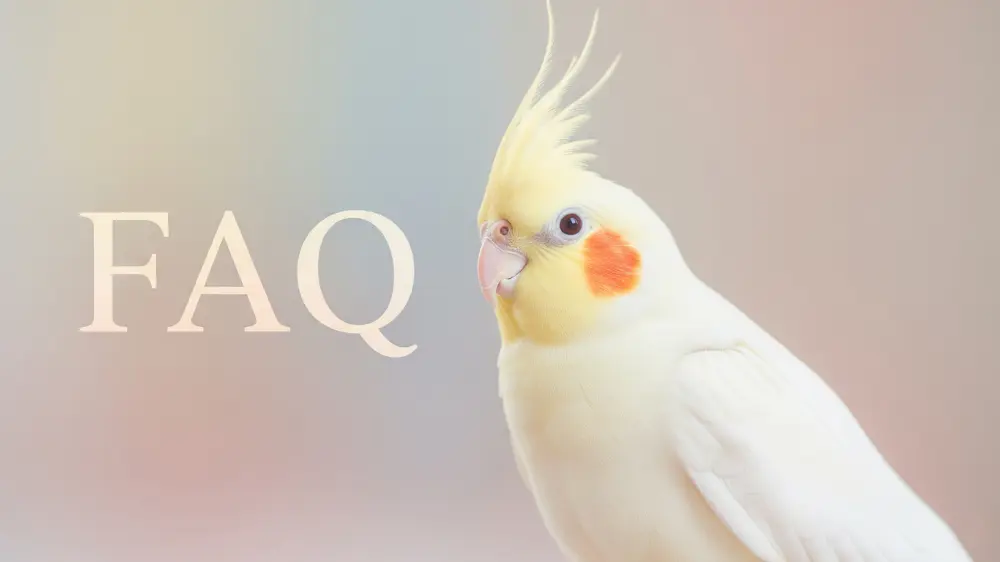 オカメインコのおしゃれなケージ選びに関するよくある質問