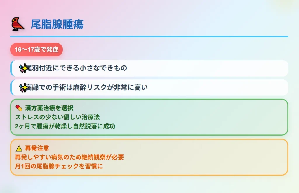 尾脂腺腫瘍