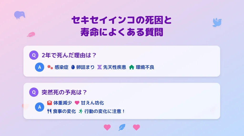 セキセイインコの死因と寿命によくある質問