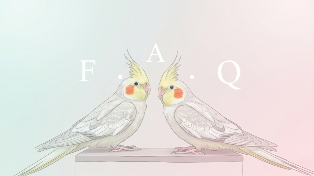 オカメインコのおしゃべりに関するFAQ