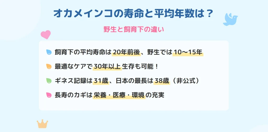オカメインコの寿命と平均年数は？