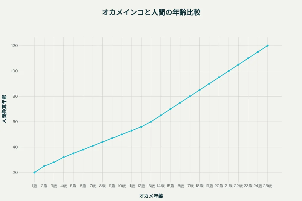 オカメインコと人間の年齢比較