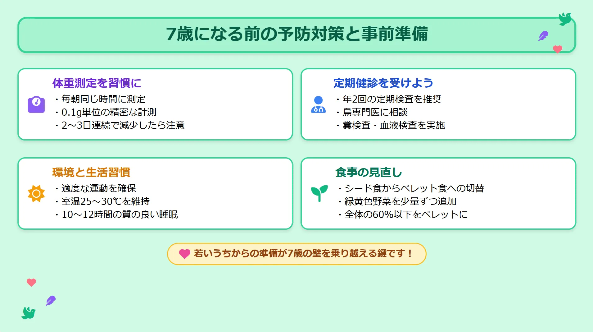 7歳になる前のセキセイインコの予防と準備について解説したインフォグラフィック。長生きのためのサポート方法を図解。