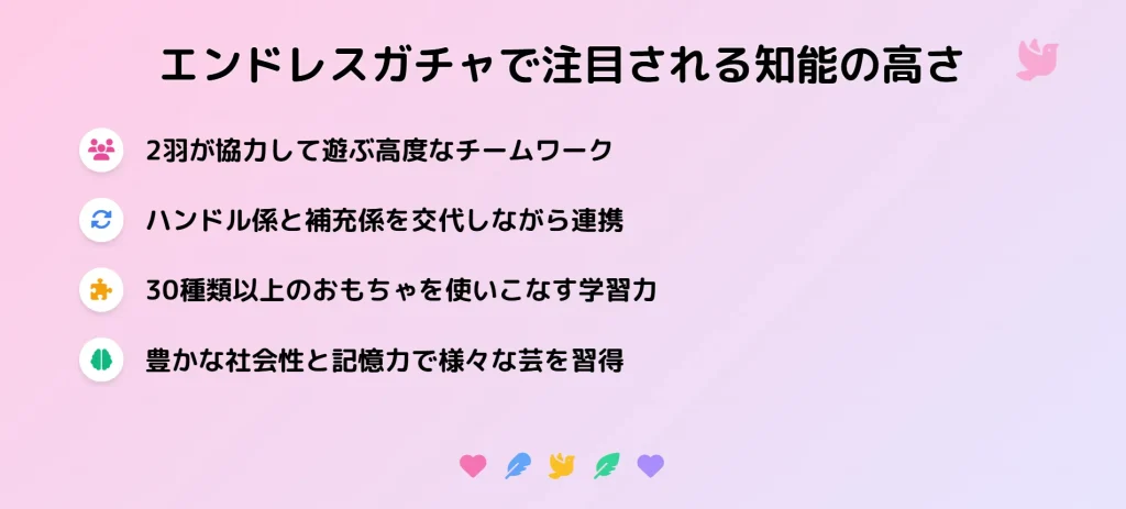 エンドレスガチャで注目されるオカメインコの知能の高さ