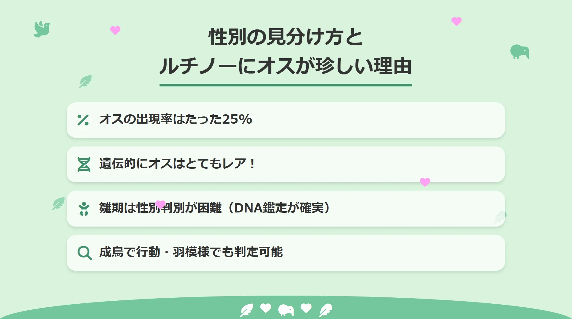 性別の見分け方とルチノーにオスが珍しい理由