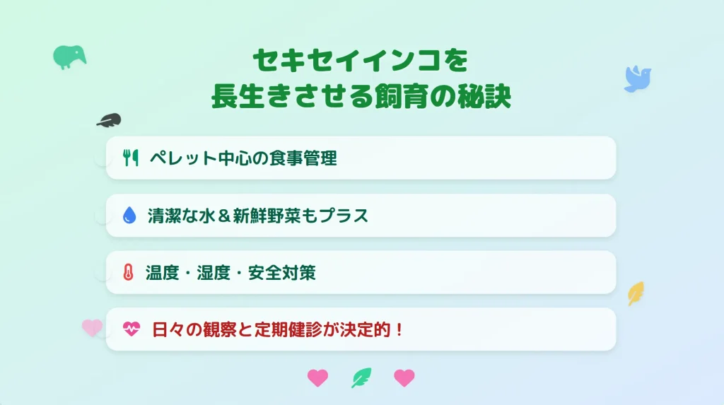 セキセイインコを長生きさせる飼育の秘訣