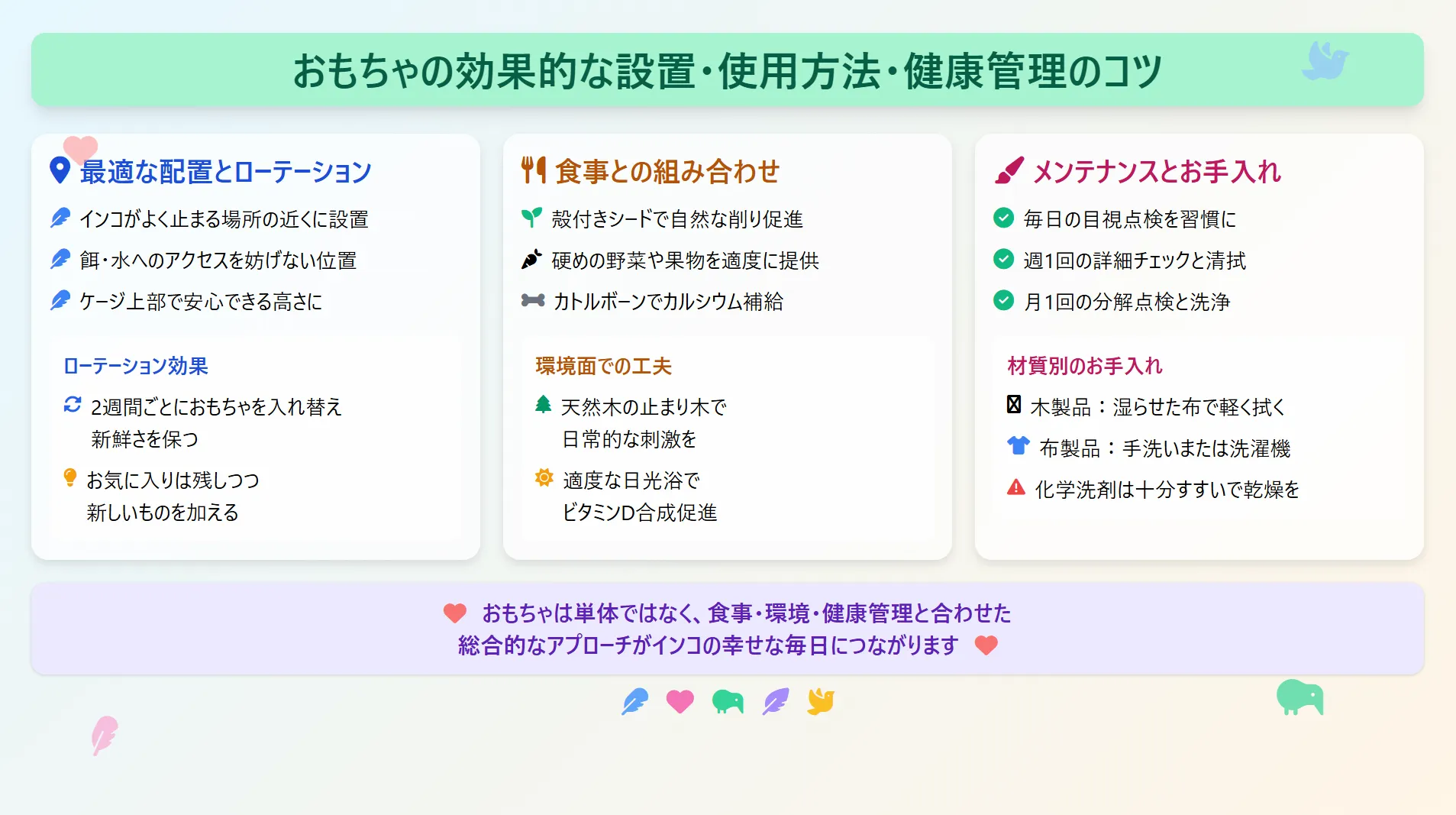インコのおもちゃの効果的な設置・使用方法・健康管理のコツ