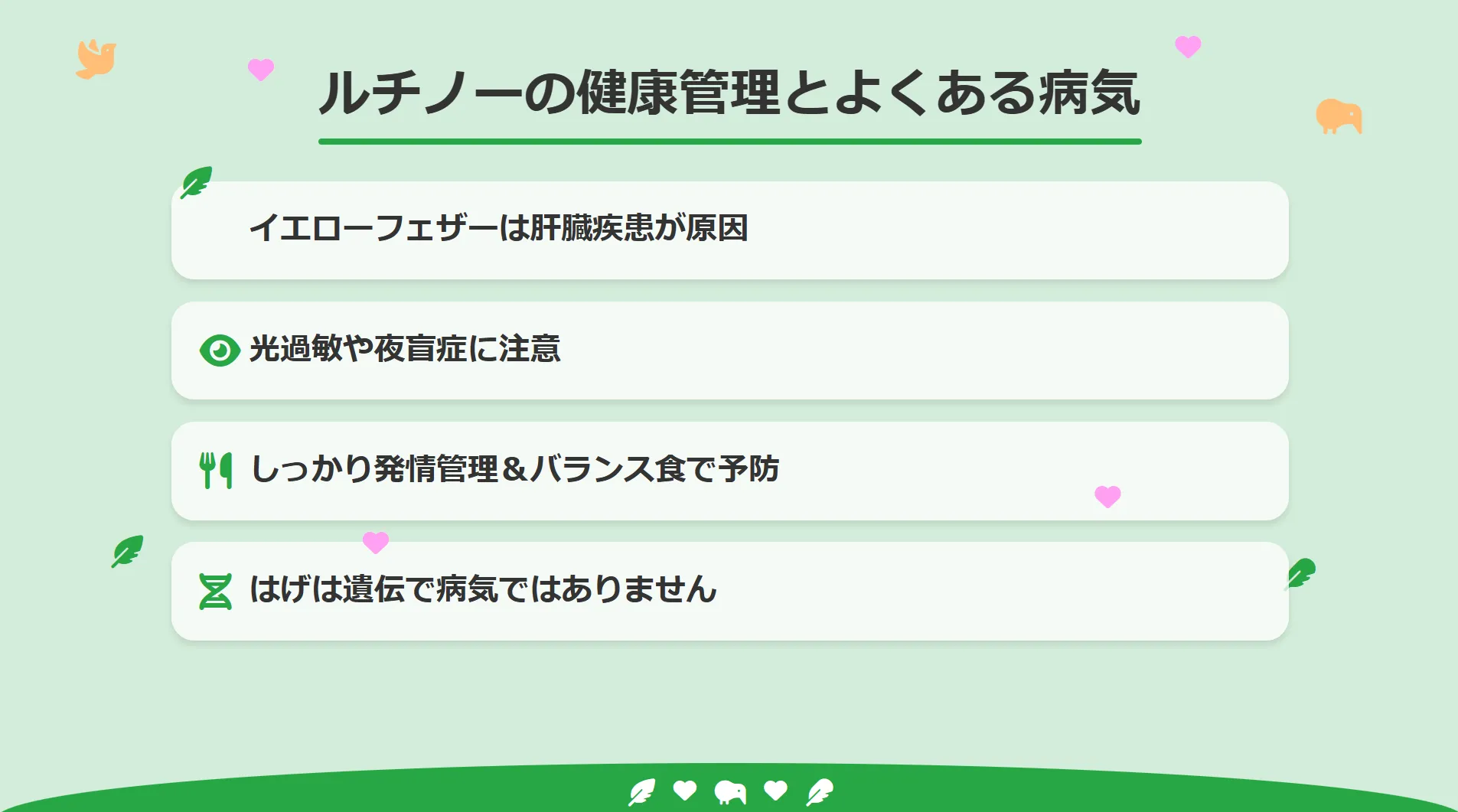 ルチノーの健康管理とよくある病気