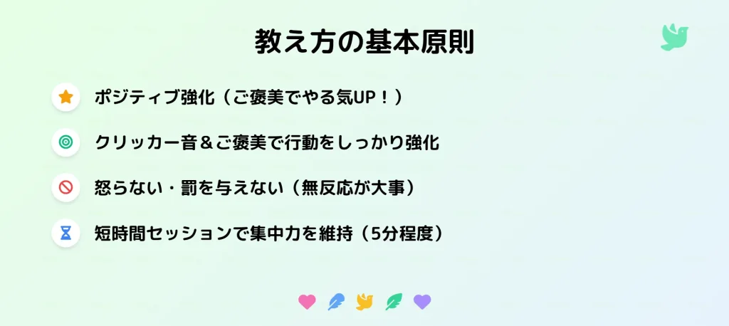 オカメインコのエンドレスガチャの教え方の基本